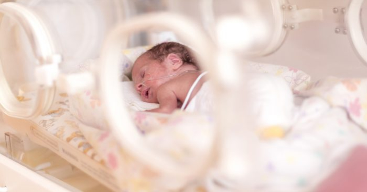Bebe Prematuro De 5 Meses Puede Sobrevivir